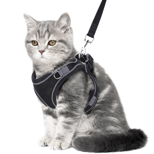 Cat Harness and Leash for Walking, Escape Proof Adjustable Cat Vest Harnesses, Easy Control Breathable Reflective Strips Jacket, Soft Harness for Puppy Small Medium Large Cats, Orange(Xs)